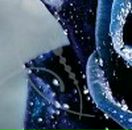 Вова Поліщук фотография #49 (источник - https://vk.com/id37464294)