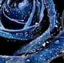 Вова Поліщук фотография #48 (источник - https://vk.com/id37464294)