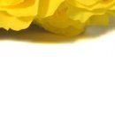 Василь Дмитрів фотография #41 (источник - https://vk.com/id98013424)