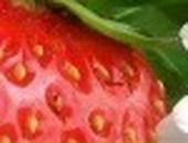 Яна Excale фотография #35 (источник - https://vk.com/id727315)