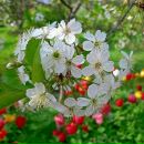 Фотография Берзой Нины