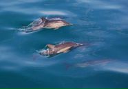 Фотография Синявской Лены