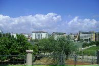 Princessa София фотография #9 (источник - https://vk.com/id852922)