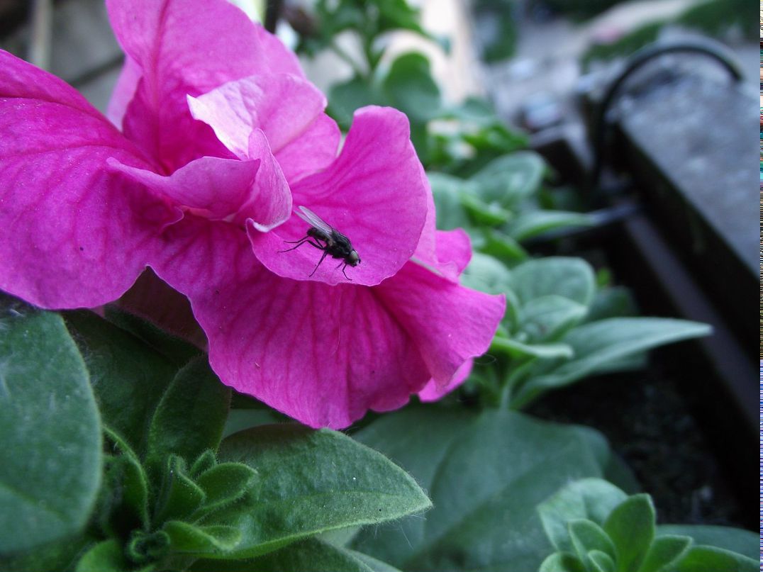 Аня Грищенко фотография #33