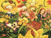 Наталка Кідиба фотография #42 (источник - https://vk.com/id70264328)