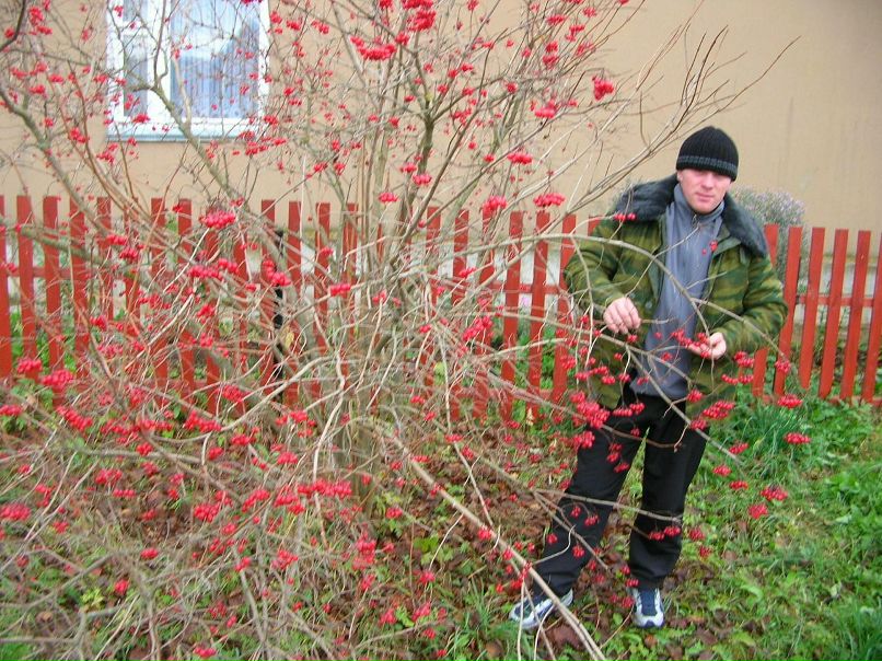 Дмитрий Леонов фотография #28