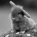 Роман Сенів фотография #4 (источник - https://vk.com/id167069183)