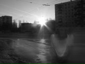 Фотография Mikheev Vyacheslav