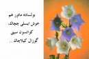 Hafiz Irgalı фотография #9 (источник - https://vk.com/id67040057)