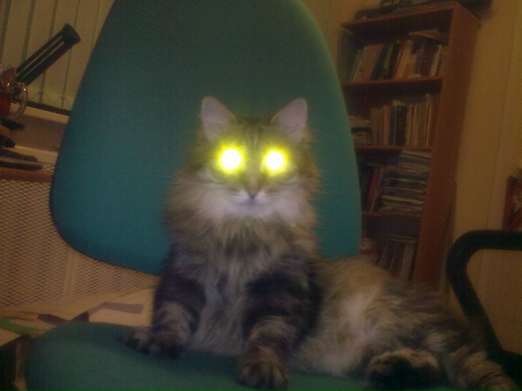 Андрюшка Орлов фотография #5