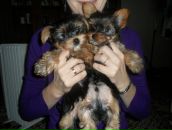 Фотография Загусты Танюши