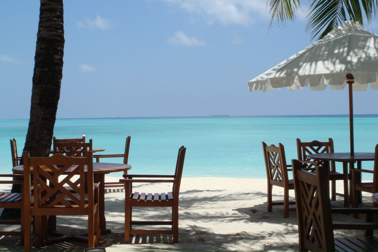 Elena Saveleva фотография #16