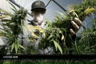 Фотография Лазы Александра