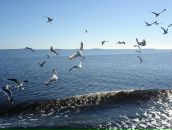 Анна Журавлёва фотография #25 (источник - https://vk.com/id461369)