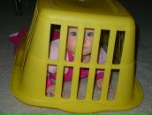 Алла Заиченко фотография #21 (источник - https://vk.com/id1008551)