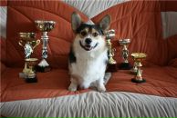 Фотография Федосовой Ирины