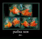 Илья Гусев фотография #34 (источник - https://vk.com/id432368)