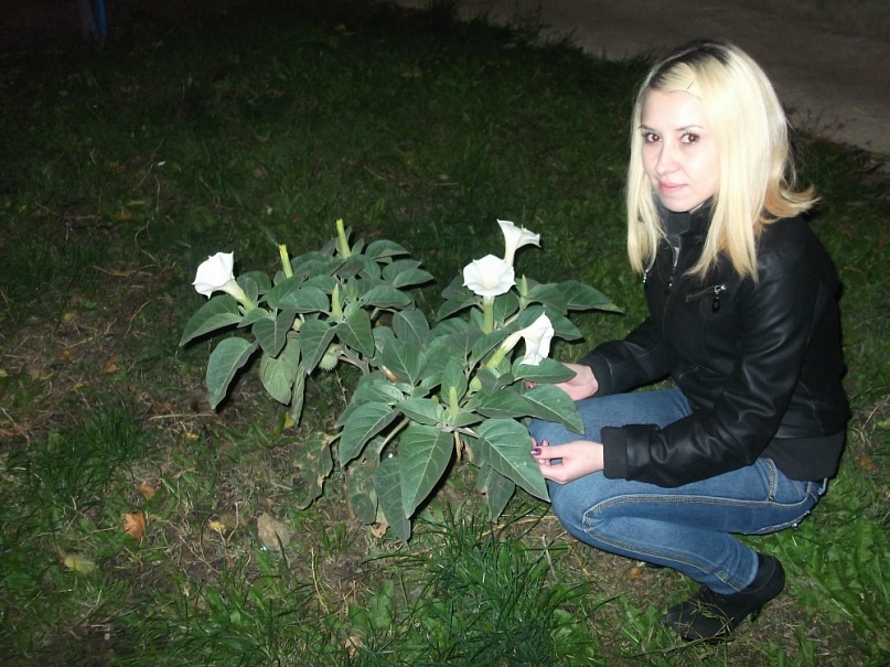 Наталья Бахчева фотография #12