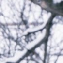 Марія Юськевич фотография #40 (источник - https://vk.com/id76562134)