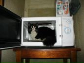 Антон Поштаренко фотография #27 (источник - https://vk.com/id928604)