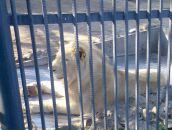 Фотография Аксёнова Сереги