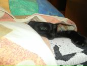 Фотография Шляндина Виктора