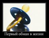 Фотография Куксенко Дарьи