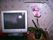 Галина Олейник фотография #21 (источник - https://vk.com/id95261581)