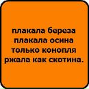 Ольга Охрімчук фотография #14 (источник - https://vk.com/id68479423)