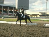 Фотография Закировой Людмилы