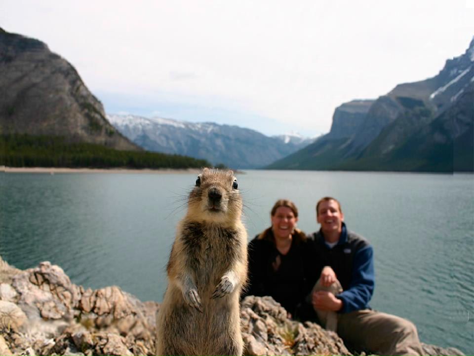 Марина Марина фотография #39