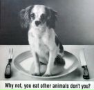 Фотография Коробко Ирины