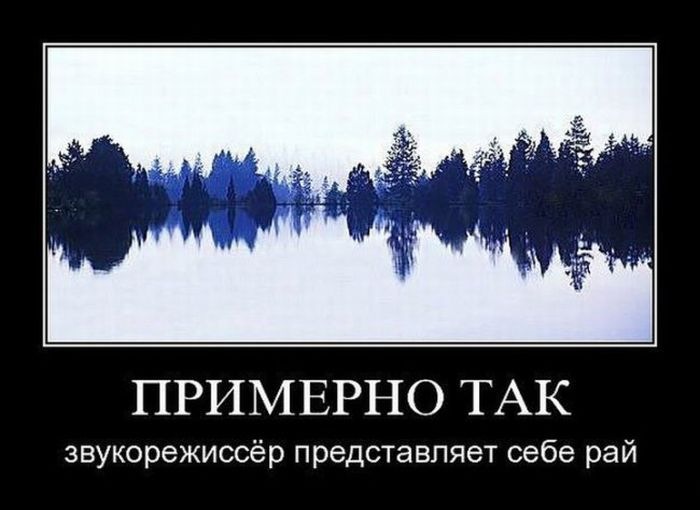 Саша Феолетов фотография #38