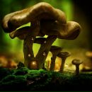 Тетяна Алєксандрова фотография #25 (источник - https://vk.com/id10524297)