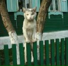 Фотография Щеглова Сергея