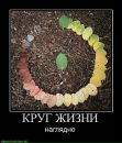 Олександр Коблюк фотография #16 (источник - https://vk.com/id22919258)