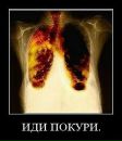 Олександр Коблюк фотография #49 (источник - https://vk.com/id22919258)