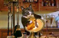 Фотография Косолапова Антона