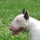 Фотография Акелловой Ирины