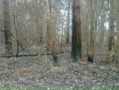 Сергей Чулочников фотография #28 (источник - https://vk.com/id271202)