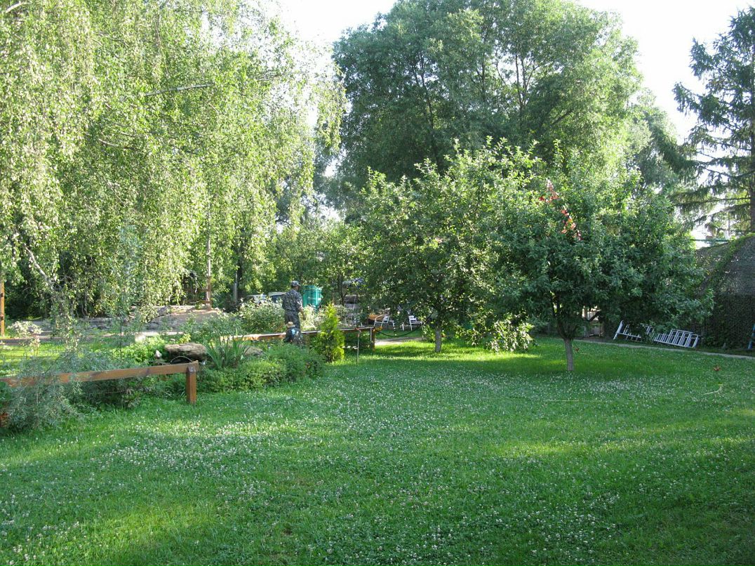 Дмитрий Ермилов фотография #23