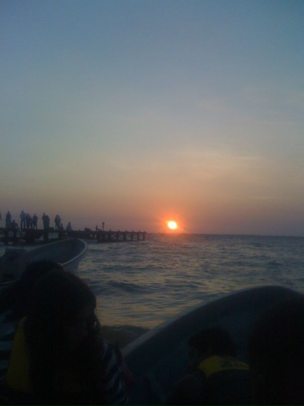 Djlua Frncroque фотография #18