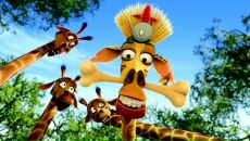 Фотография З Андрея