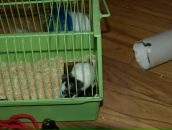 Віталік Талько фотография #34 (источник - https://vk.com/id93295017)