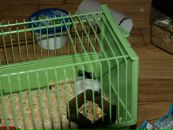 Віталік Талько фотография #30 (источник - https://vk.com/id93295017)