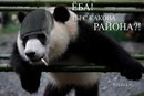 Фотография Денис Ребо