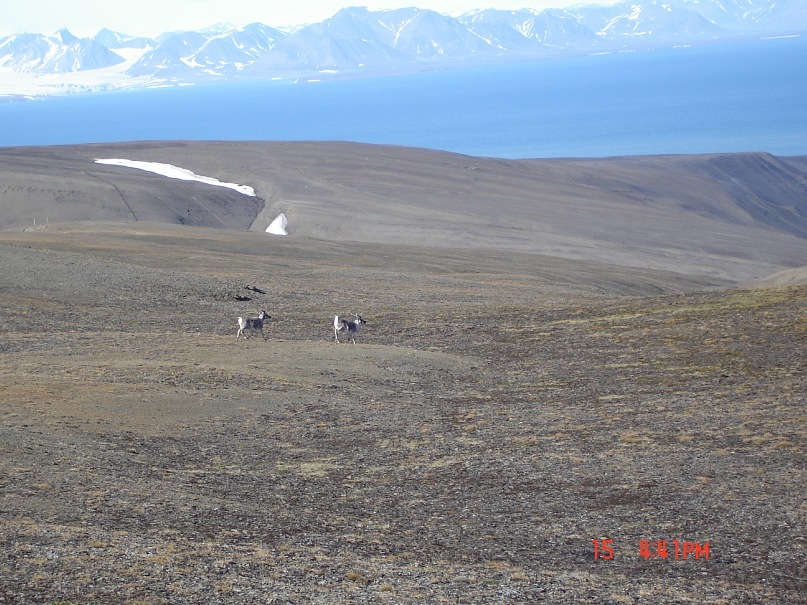 Иван Степаненко фотография #38