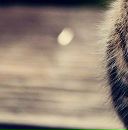 Марія Козак фотография #4 (источник - https://vk.com/id148871802)