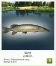 Сергій Коржан фотография #35 (источник - https://vk.com/id110134918)