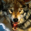 Артем Різник фотография #28 (источник - https://vk.com/id132099185)